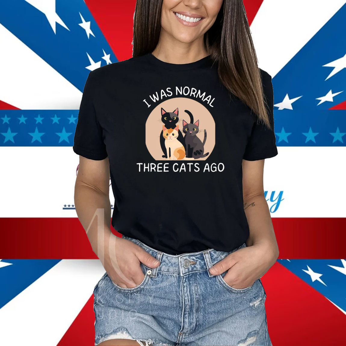 I Was Normal 3 Cats Ago Sweatshirt, Funny Cat Hoodie, Cat Owner Gift Shirt