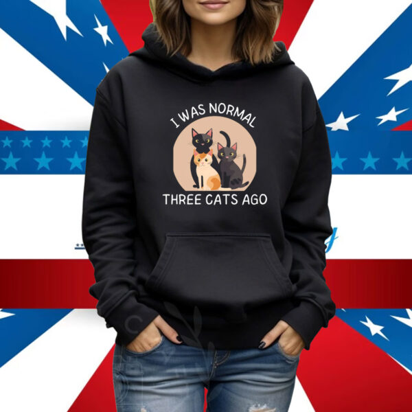 I Was Normal 3 Cats Ago Sweatshirt, Funny Cat Hoodie, Cat Owner Gift Shirt