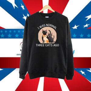 I Was Normal 3 Cats Ago Sweatshirt, Funny Cat Hoodie, Cat Owner Gift Shirt