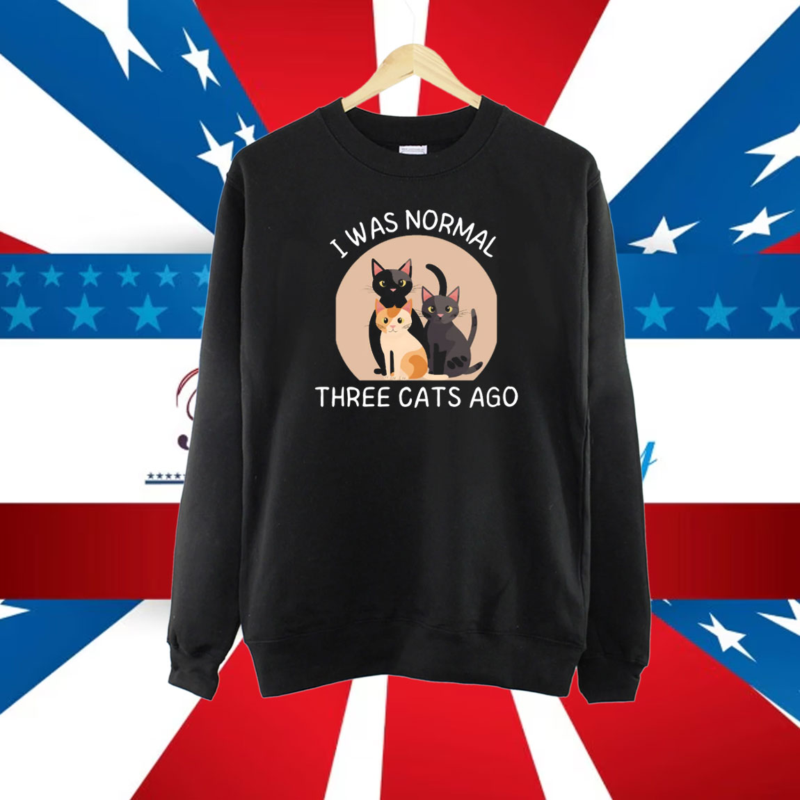 I Was Normal 3 Cats Ago Sweatshirt, Funny Cat Hoodie, Cat Owner Gift Shirt