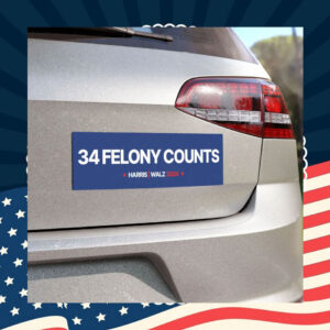 34 Felony Counts Car Magnet Bumper Sticker