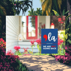 Comma La, Kamala Flag, Were not going back house Flag