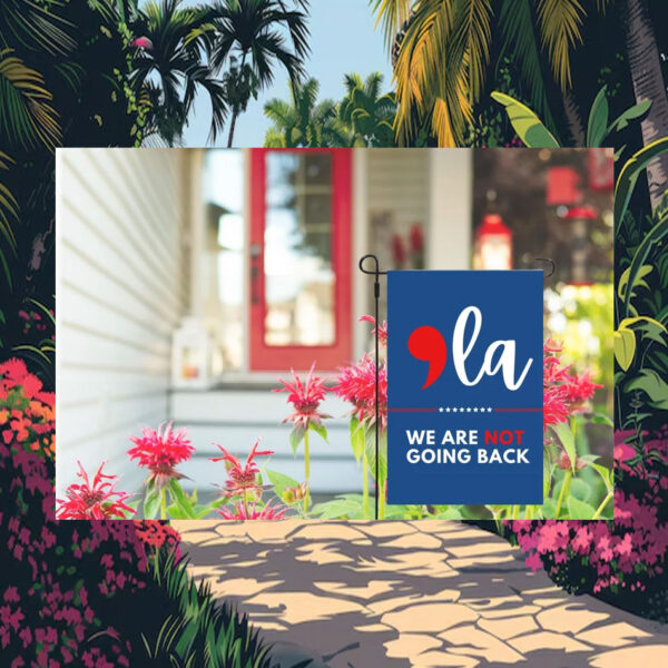 Comma La, Kamala Flag, Were not going back house Flag