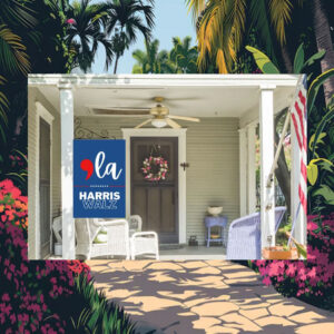 Comma La, Kamala Flag, Were not going back house Flag