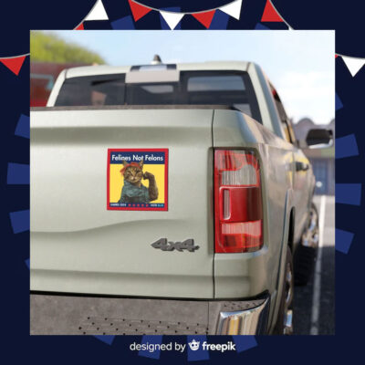 Felines Not Felons Car Magnet