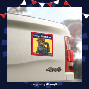 Felines Not Felons Car Magnet