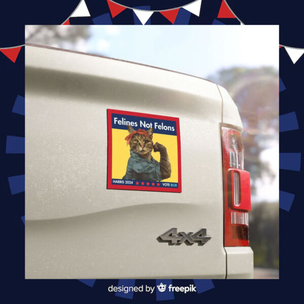 Felines Not Felons Car Magnet