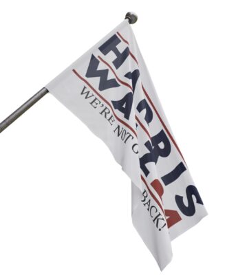 Harris Walz We’re Not Going Back Flag