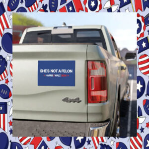 She's not a felon Car Magnets