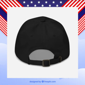 We Are Going Back Harris Walz Hat
