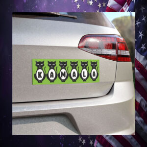 Cat Ladies For Kamala Democracy Car Magnet