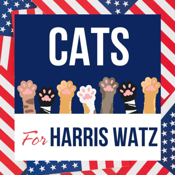 Cats For Harris Walz 2024 Car Magnets