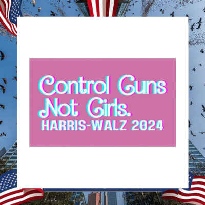 Control Guns Not Girls Harris Walz 24 Car Magnet