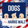 Dogs For Harris Walz 24 Car Magnet