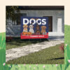 Dogs Spooky For Harris Walz Halloween Yard Sign