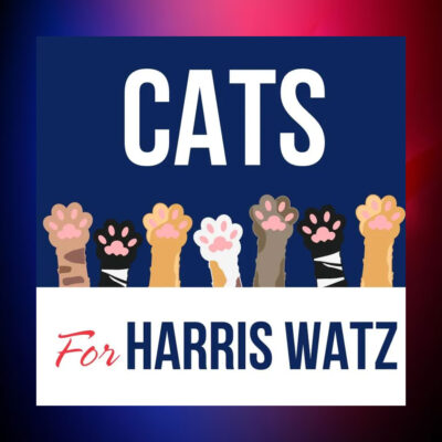Official Cats For Harris Walz 2024 Election Car Magnet