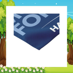Reflect Vote Move Forward Harris Walz Flag