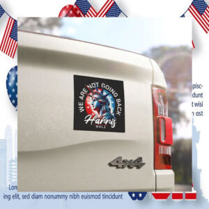 We Are Not Going Back Harris Walz 24 Car Magnet