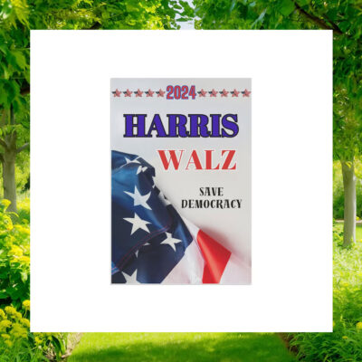 2024 Harris Walz Save Democracy Election Flags