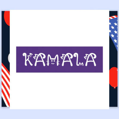 Cat Kamala Harris 2024 Election Car Magnet