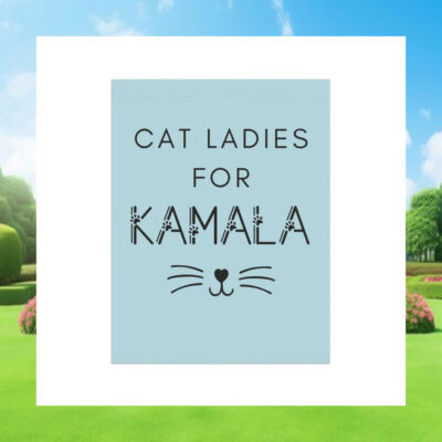 Cat Ladies For Kamala 24 Flag