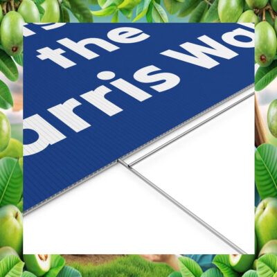 Let's Do the Harris Walz 2024 Yard Sign