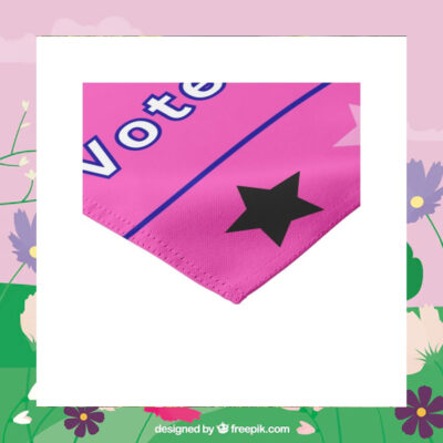 Taylor Swift 2024 Voters Gonna Vote Kamala Harris Flag